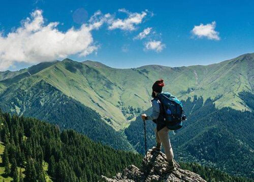 2N3D Kashmir Tour Package
