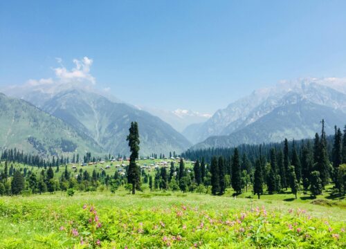 Best Time To Visit Kashmir
