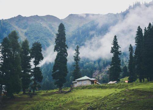 Top Places To Visit In Kashmir